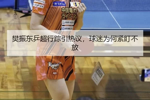 樊振东乒超行踪引热议，球迷为何紧盯不放