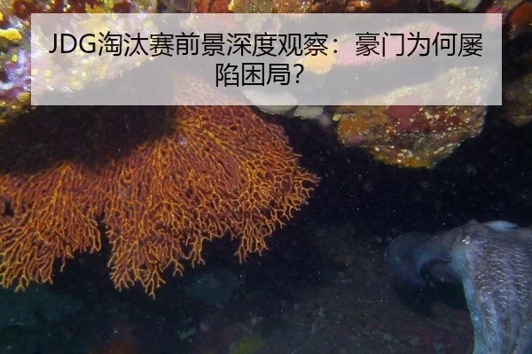 JDG淘汰赛前景深度观察：豪门为何屡陷困局？